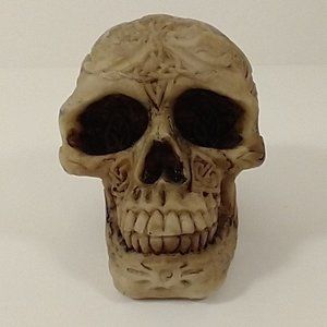 Skull Decor